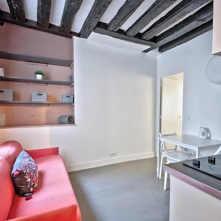 Apartment 1 Bedroom Only 15 Min Walk To The Louvre Paris