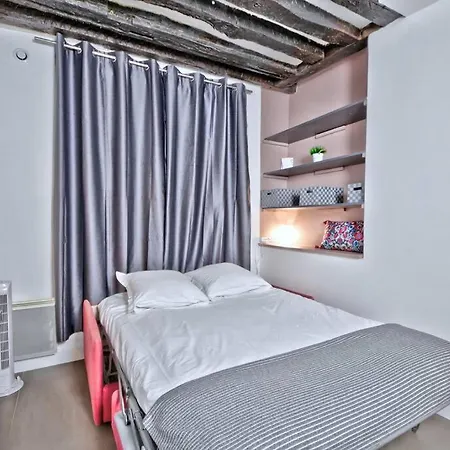 Apartment 1 Bedroom Only 15 Min Walk To The Louvre Paris